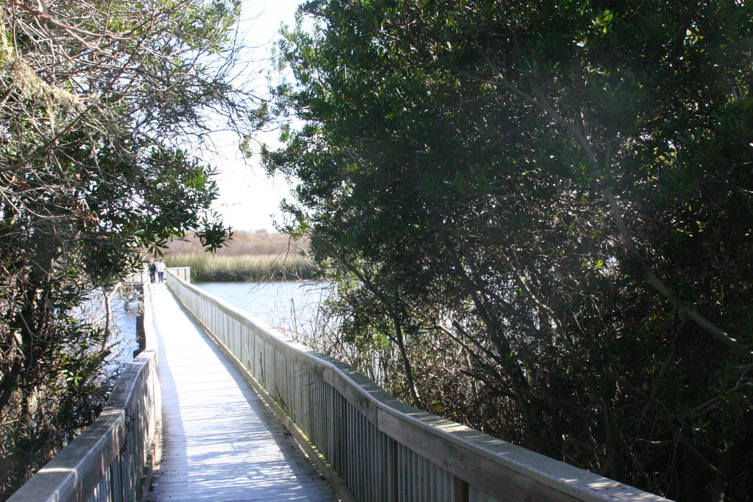 Oso Flaco Boardwalk